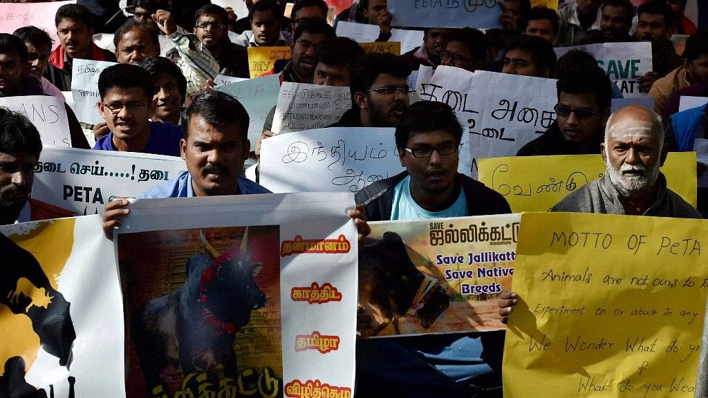  Tamil students participate in a protest to lift the ban on Jallikattu and impose ban on PETA, in New Delhi on Friday. (Photo: PTI)