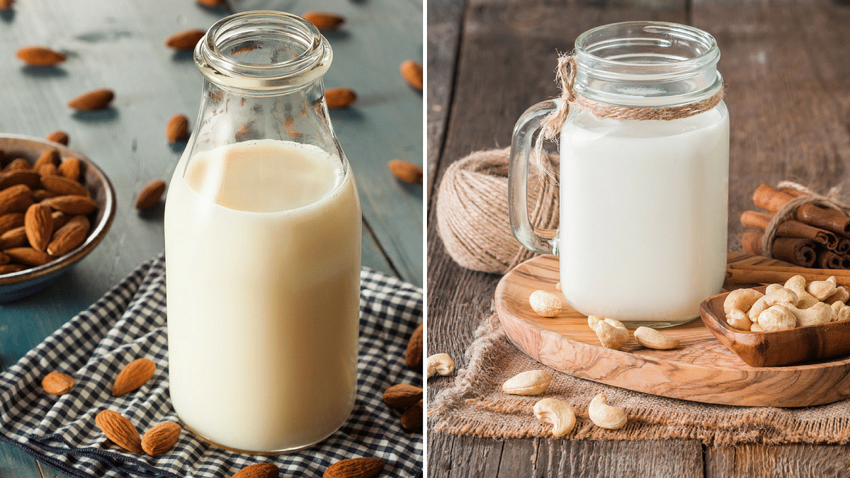 New years bring new foods, and this year cashew milk and coconut flour will be the new ingredients in your recipes!