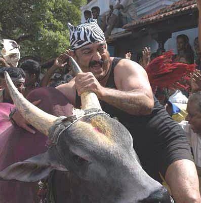 Considering the groundswell of sentiment and support for the conduct of Jallikattu, will the apex court relent?