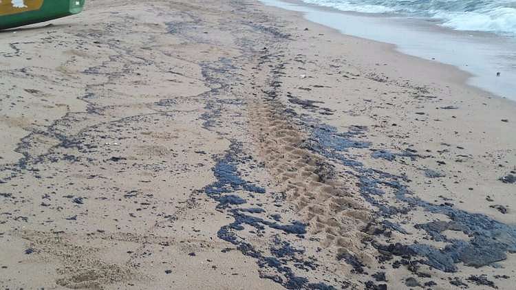Fishermen are the worst hit by the oil spill. 