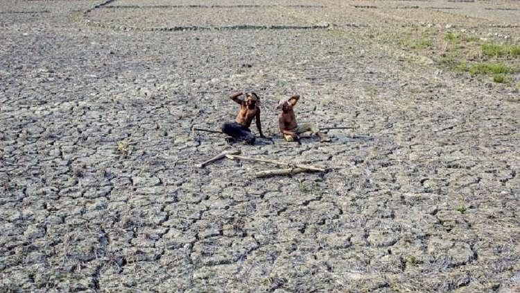 Representational image of drought (Photo: PTI)