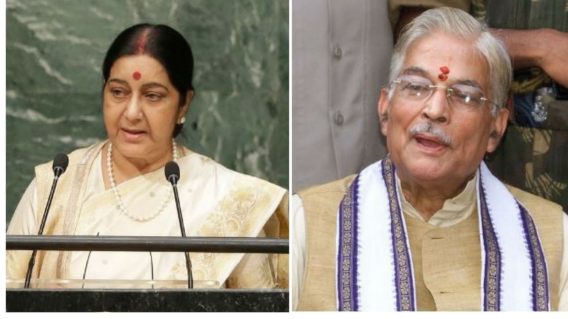 Sushma Swaraj, Murli Manohar Joshi Among Favourites for India’s next President. (Altered by <b>The Quint</b>)