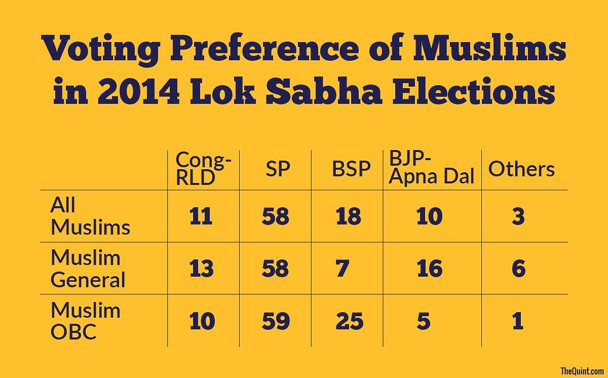 As BSP tries hard to woo the Muslims in  polls, the party errs in treating the community as a monolithic votebank.