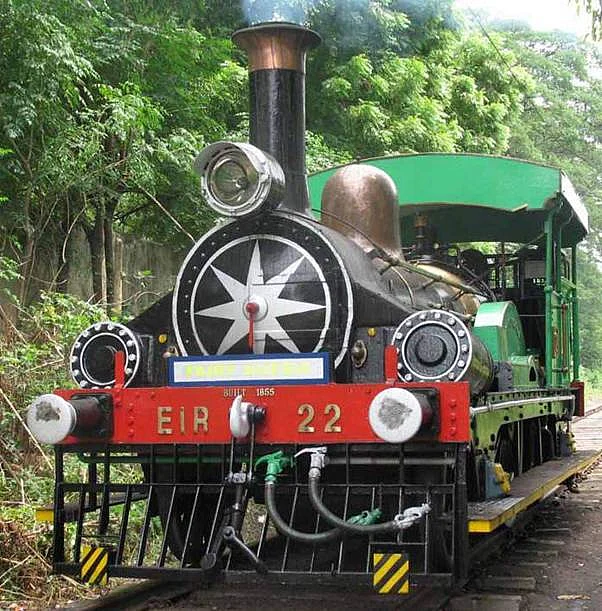 The Fairy Queen locomotive in Gurgaon. (Photo: PIB)