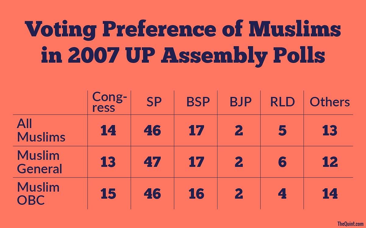 As BSP tries hard to woo the Muslims in  polls, the party errs in treating the community as a monolithic votebank.