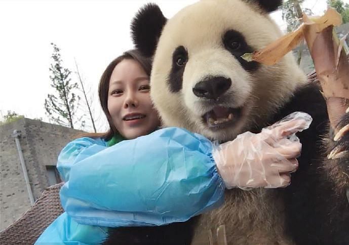 This is how a panda handles a selfie stick. Watch carefully!