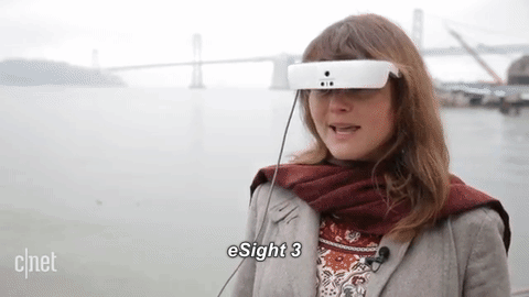 These technologies enable the visually impaired to ‘see’ and experience the world. 