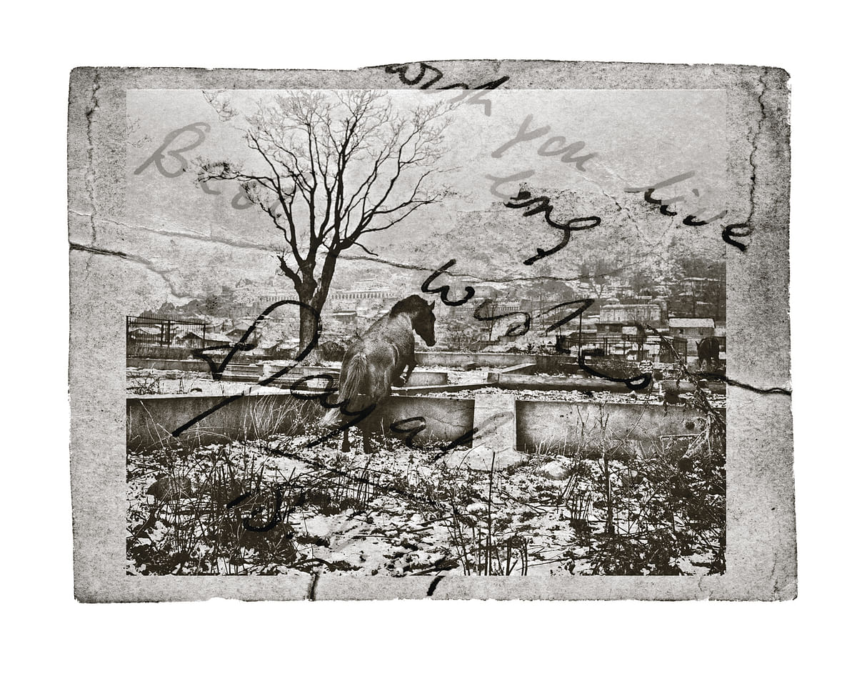 A horse jumping over a cemetery wall merged with the photographer’s grandfather’s inscription: “Wish you live long. Best wishes, Dayal” in Srinagar, 2011. (Photo Courtesy: <i>Witness: Kashmir 1986-2016</i>/Sumit Dayal)