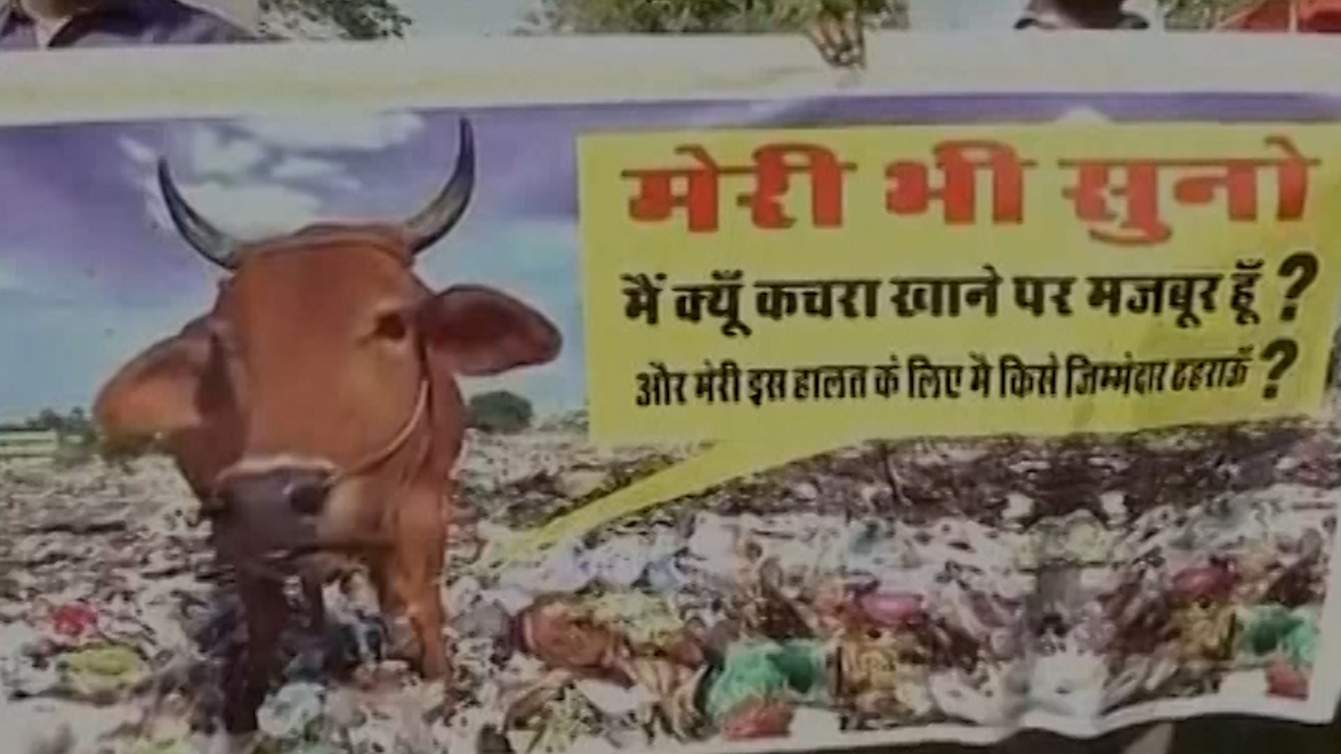 Protest against cow vigilantism in Jaipur (Photo: ANI Screengrab)