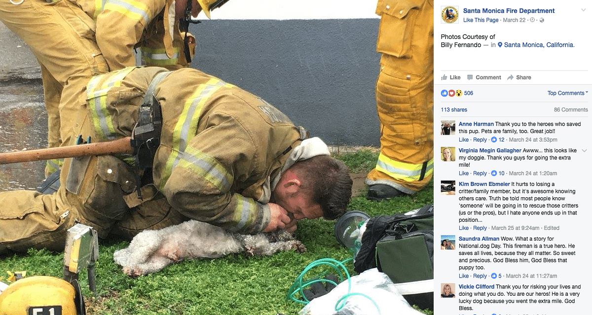 Firefighters used mouth-to-mouth resuscitation and a pet oxygen mask to save Nalu’s life. 