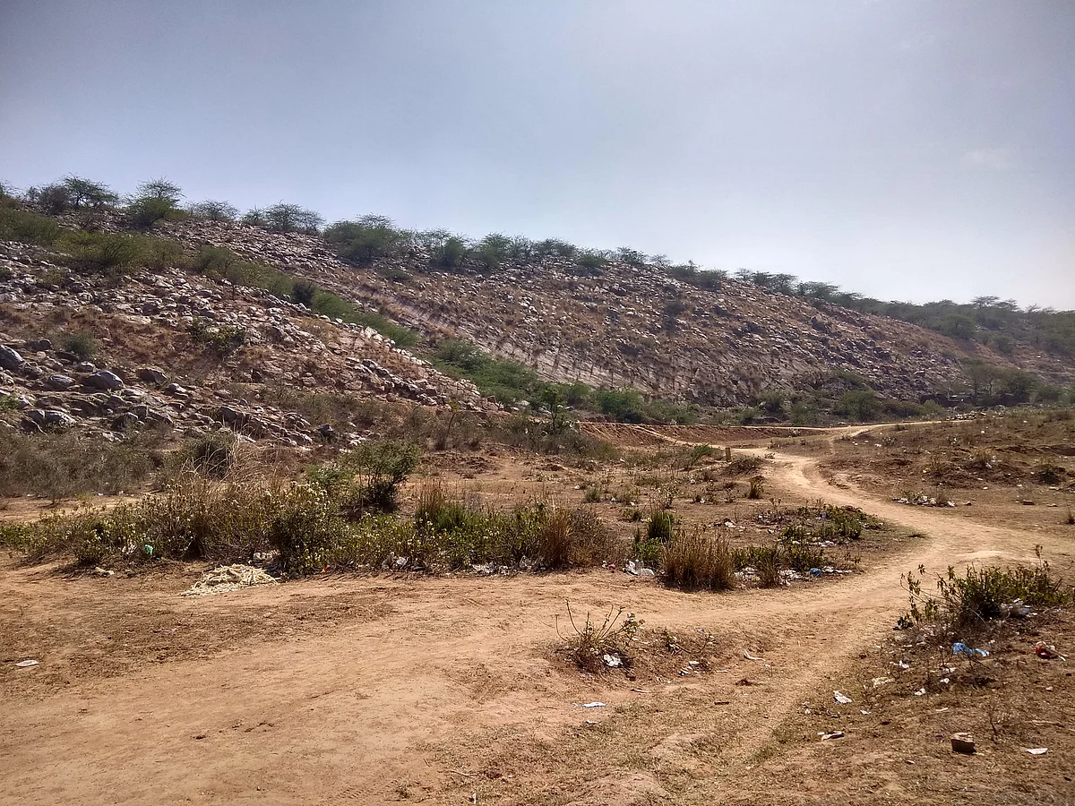 Clicked with Xiaomi Redmi Note 4. (Photo: <b>The Quint</b>)