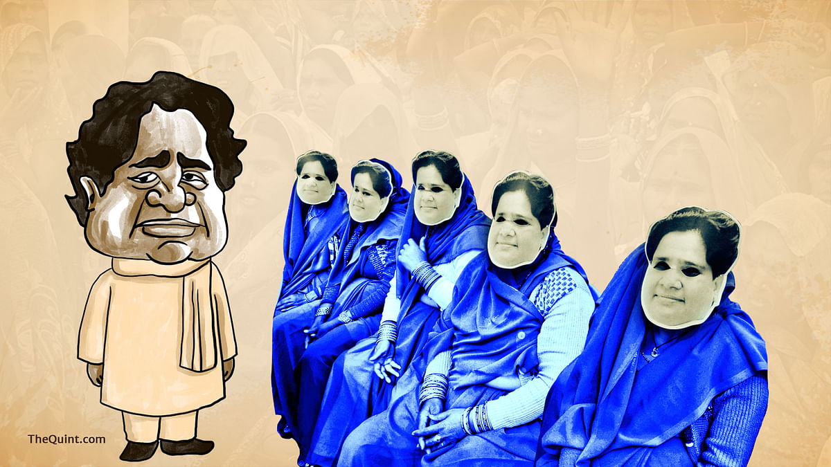 Mayawati is idolised by her staunch supporters, but will respect for the Dalit leader bring the BSP back in power in UP? (Photo: Lijumol Joseph/<b>The Quint</b>)