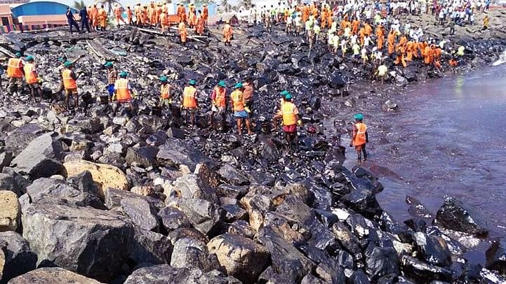 A massive oil spill was unleashed after two ships collided near the Kamarajar Port in Ennore on 28 January. (Photo Courtesy: <a href="http://www.thenewsminute.com/article/iit-madras-report-warned-long-term-impact-chennai-oil-spill-officials-ignored-it-58241">The News Minute</a>)