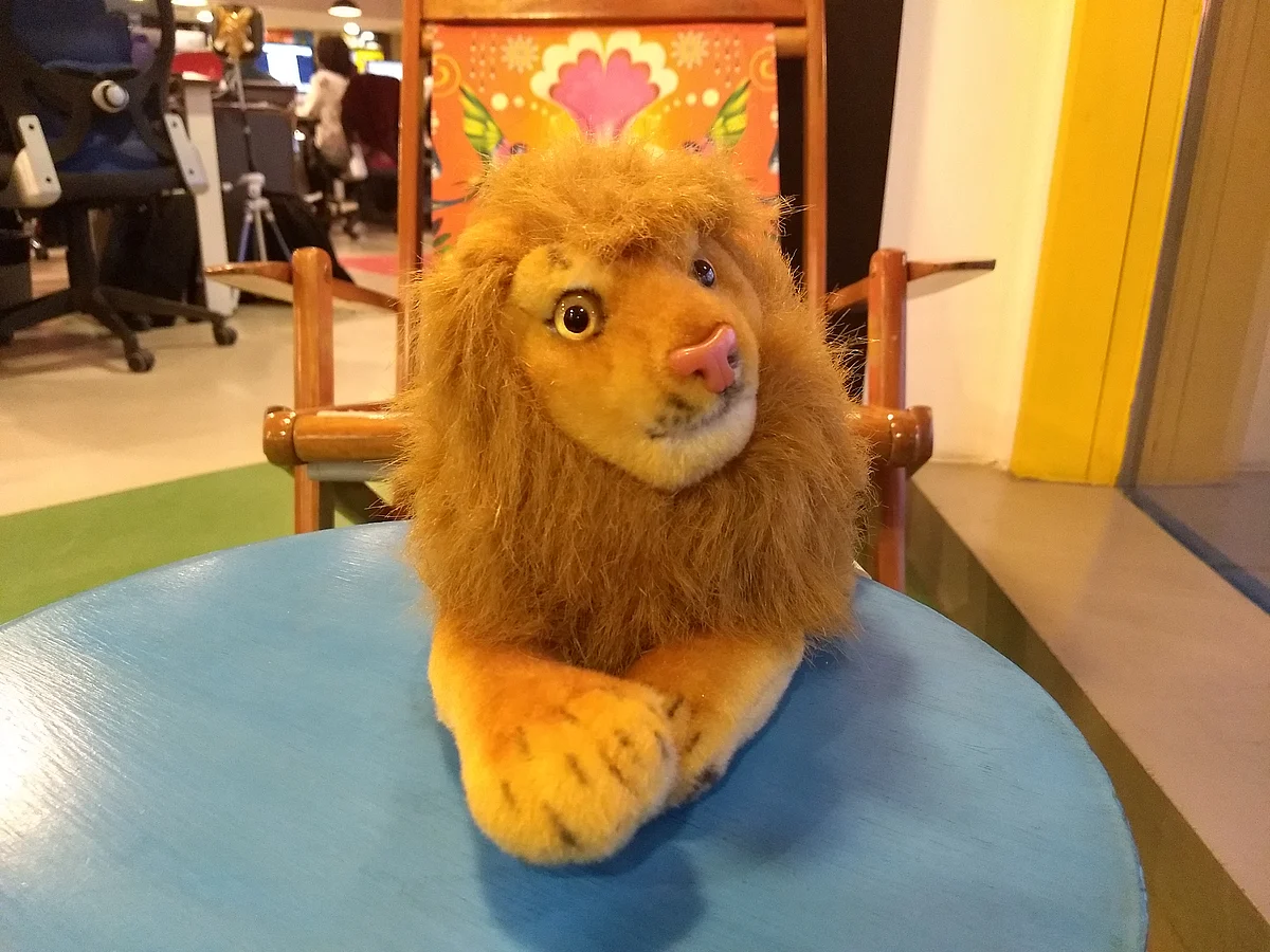 Clicked with Moto G5 Plus. (Photo: <b>The Quint</b>)