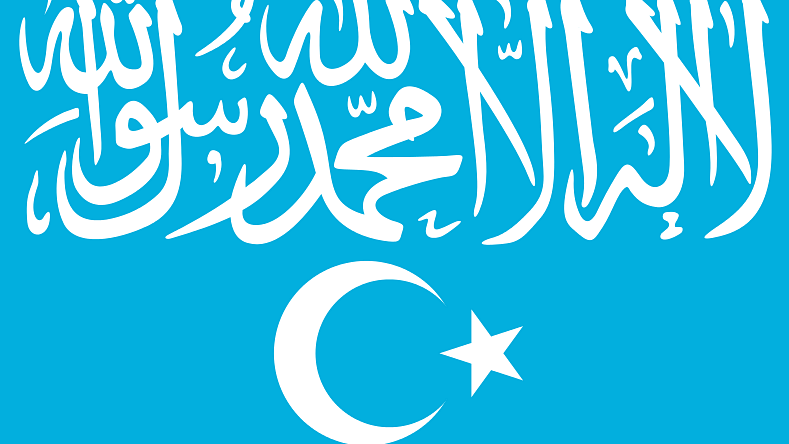 Flag of the East Turkestan Independence Movement of western China. (Photo: Wikimedia Commons)