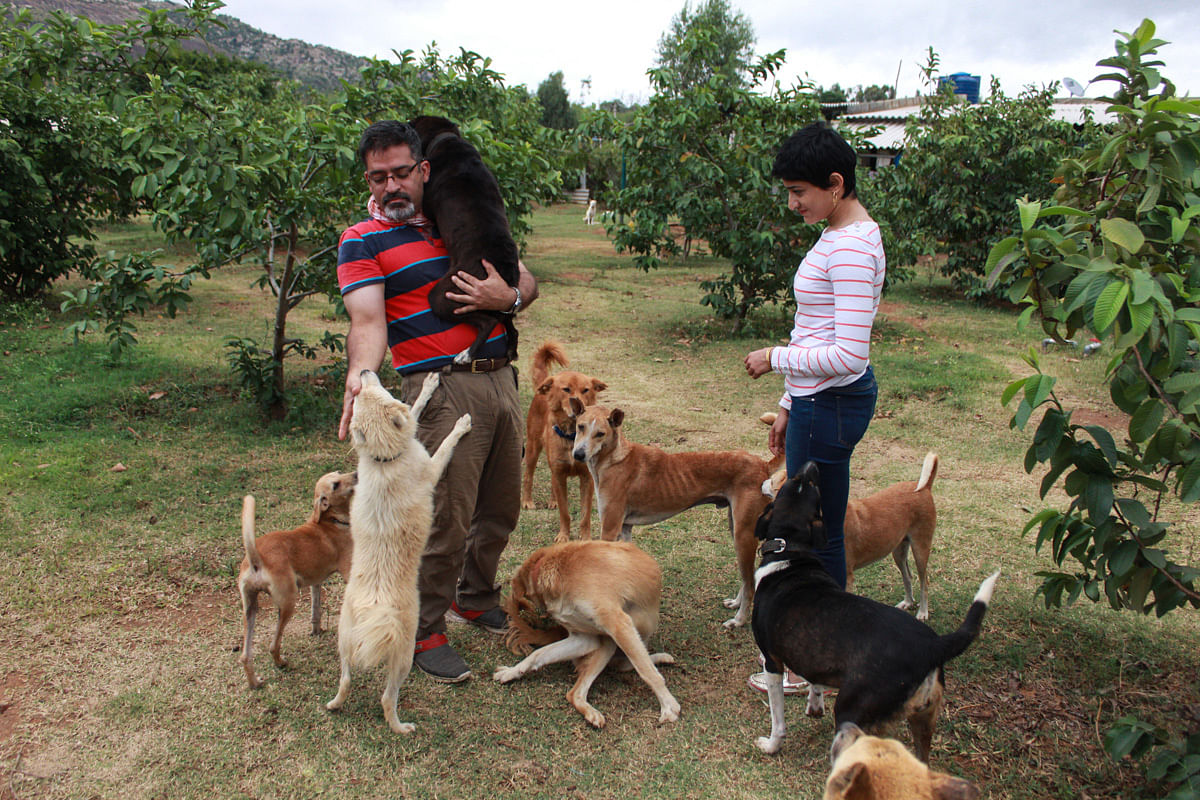Dubbed the ‘Dogfather of India’, Rakesh Shukla has stepped in to take care of the country’s retired ‘patriot dogs’.