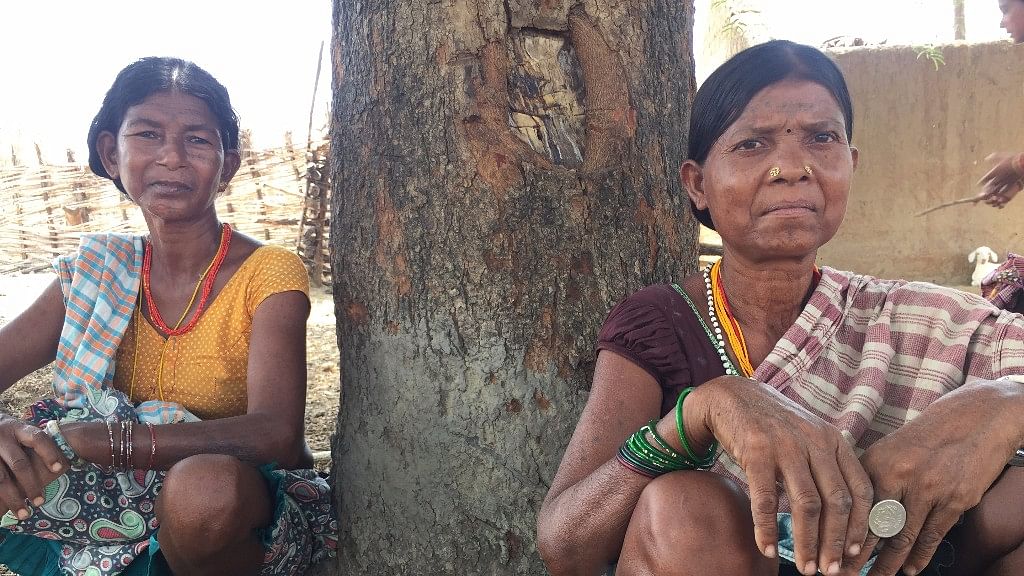 Markam Budri (right) and another tribal woman sit on their haunches under the shade of a towering Mahua tree. Image used for representation only.