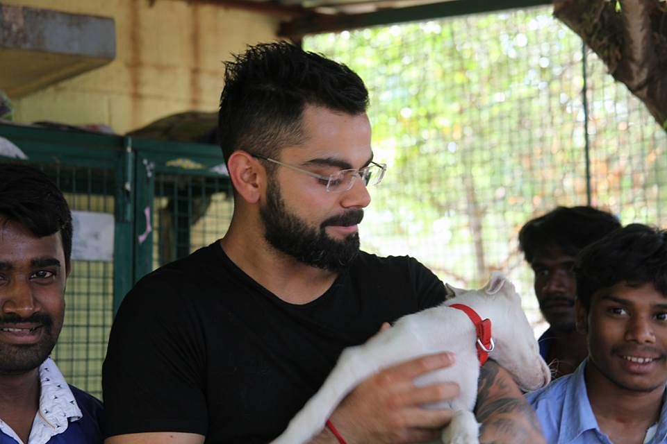Kohli also ‘passively adopted’ 15 canines, including paraplegic, blind and chronically ill dogs. 