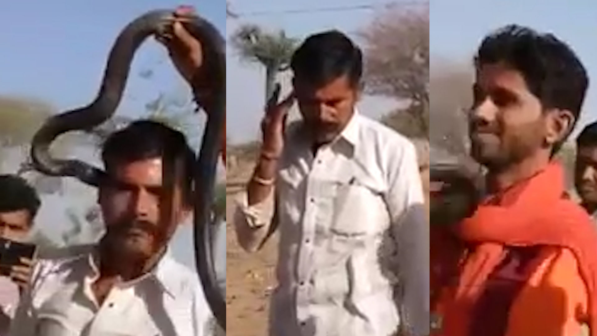 Man dies of snake bite (Photo: Youtube Screengrab)