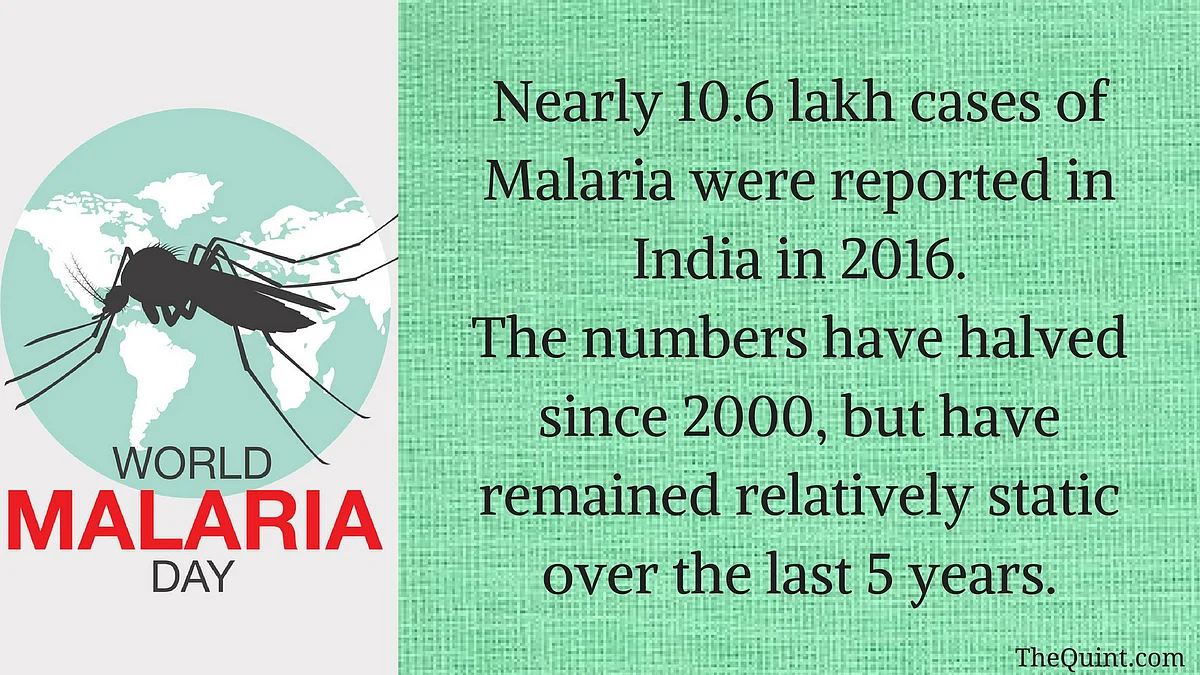World Malaria Day: How Far Is India From Eliminating the Disease?