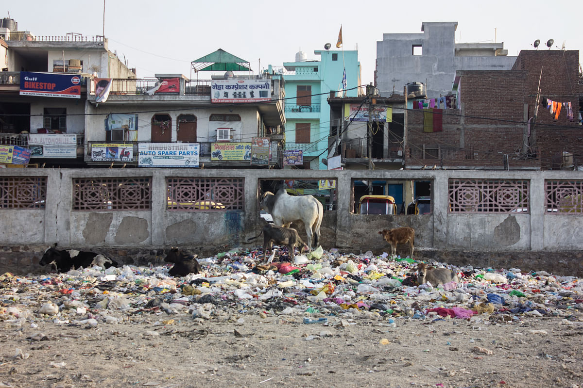 After the MCD elections, will the new municipal body bring any change in the garbage mess of Delhi?