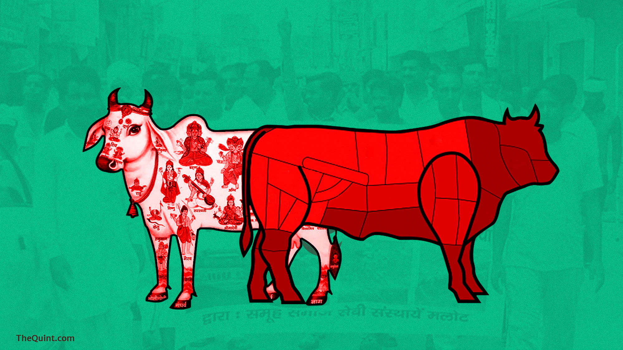 

Under the garb of ban on illegal slaughterhouses, police and fringe groups are extorting money from traders in UP. (Photo: Lijumol Joseph/ <b>The Quint</b>)