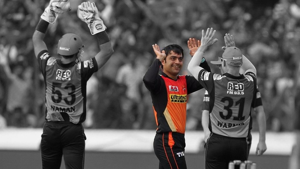 Rashid Khan celebrates after taking a wicket. (Photo: BCCI)