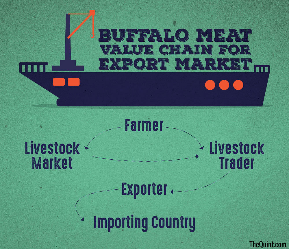 There is a need to unfold the layers of the meat industry in order to counter the conventional politics