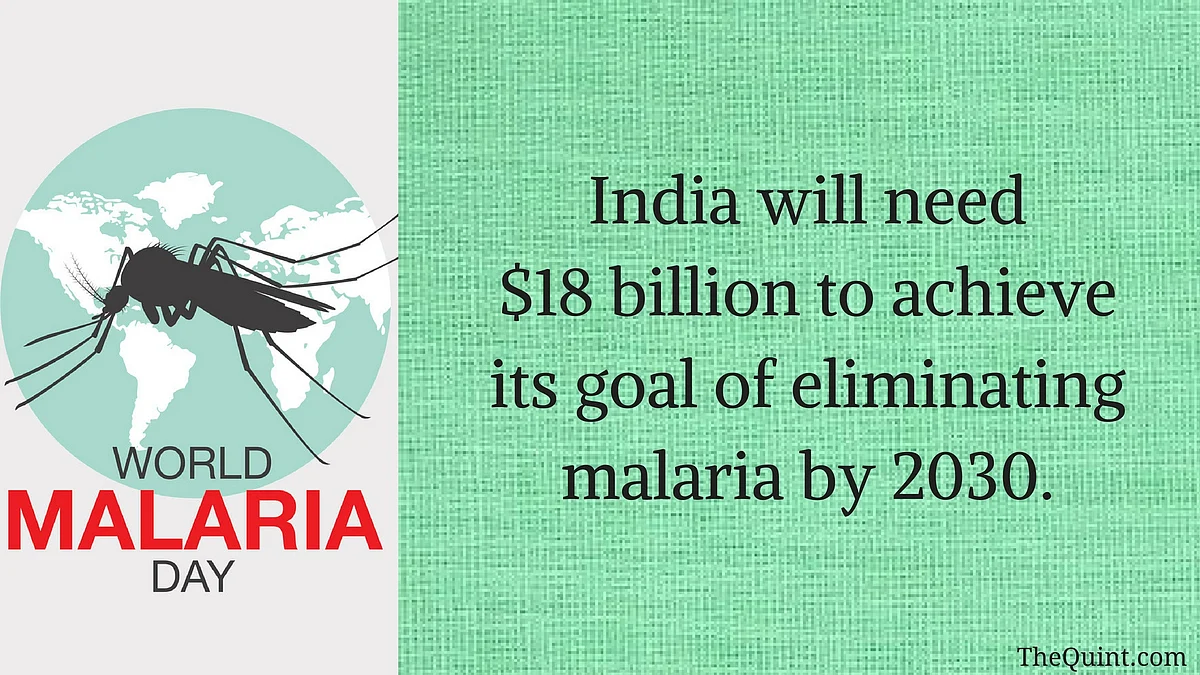 World Malaria Day: How Far Is India From Eliminating the Disease?