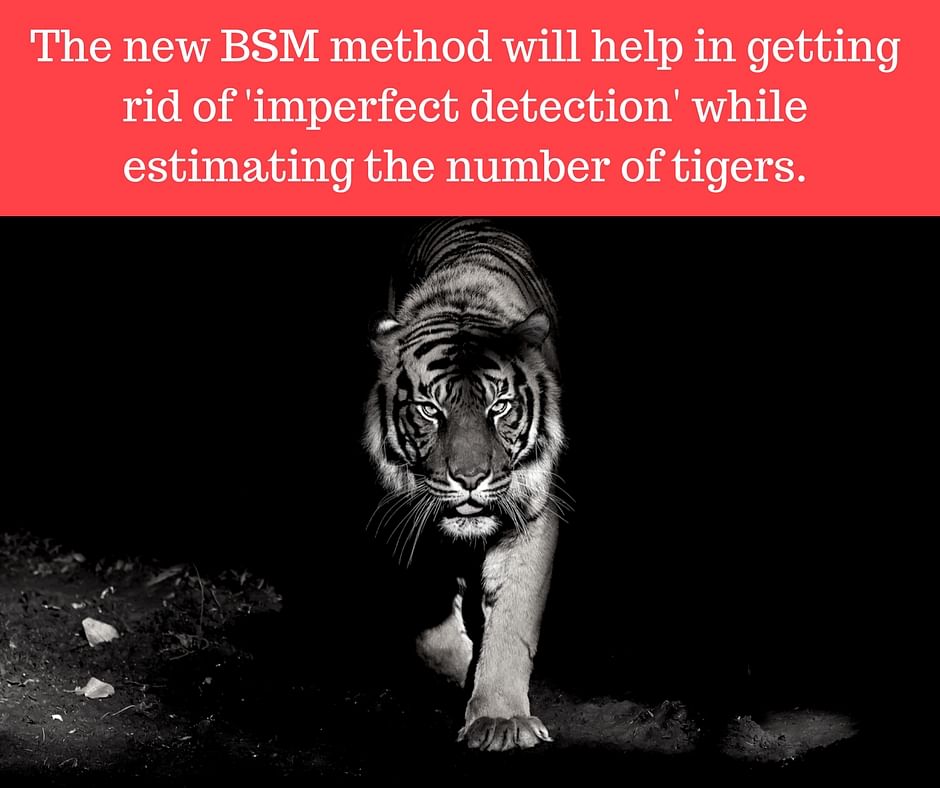 As Indian scientists come up with a new method for counting tigers, will the authorities give a go-ahead?