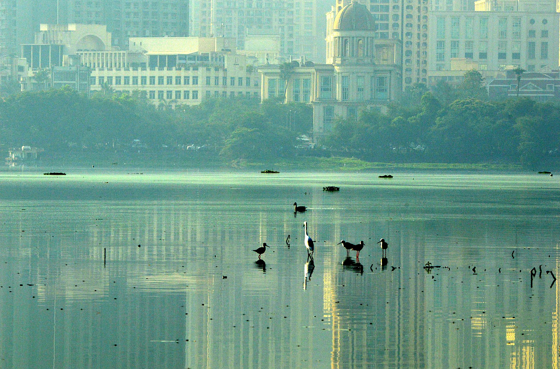 Mumbai’s Powai lake. (Photo courtesy: Twitter)