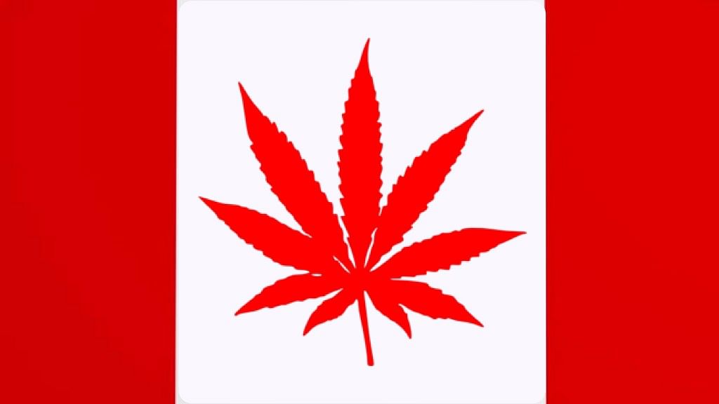 Canada becomes the first Group of Seven countries to legalise marijuana.