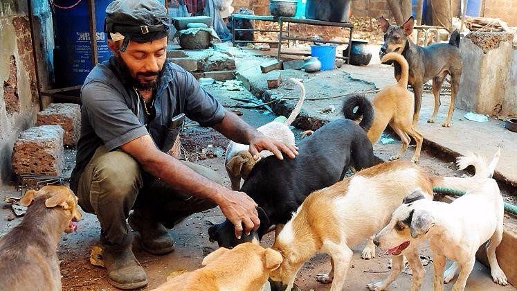 Rajeev Krishnan has been rescuing dogs from the road over the past ten years. (Photo Courtesy:  SK Mohan)  