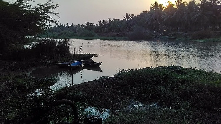 Gontheru canal has 7 tributaries, which provide irrigation water to over 40,000 acres. (Photo: Rahul Maganti)