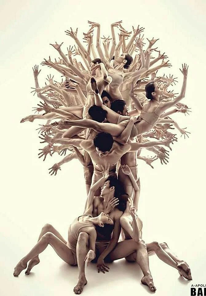 Imagery on the site is distinct, provocative and borrowed. (Photo Courtesy: <a href="https://www.facebook.com/shifusunkriti/">Facebook/Shifu Sunkriti</a>)