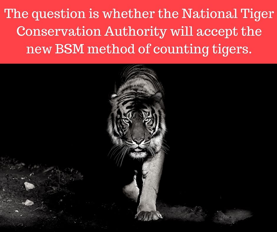As Indian scientists come up with a new method for counting tigers, will the authorities give a go-ahead?