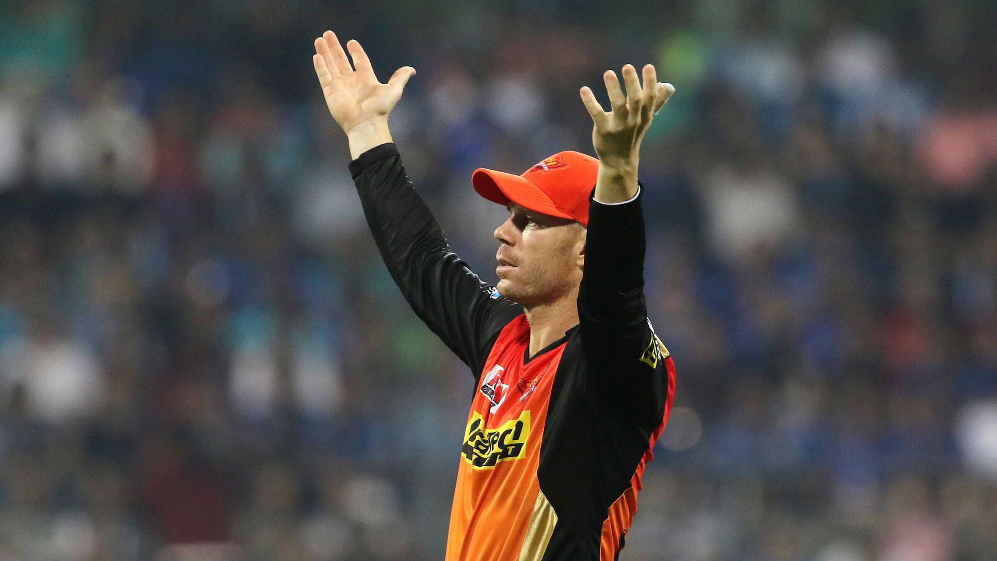 Sunrisers Hyderabad skipper David Warner.&nbsp;