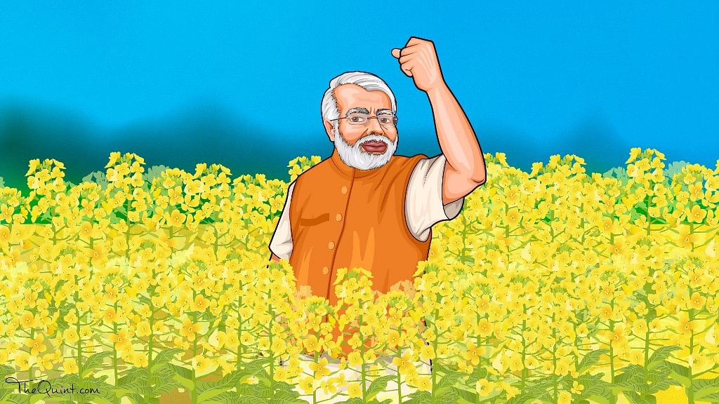 Rumour has it, PM Modi is directly pushing for GM Mustard, and Niti Ayog and the PMO were also involved in pressurising the late MoE Anil Madhav Dave and the Genetic Engineering Appraisal Committee. (Photo: Rhythum Seth/<b>The Quint</b>)