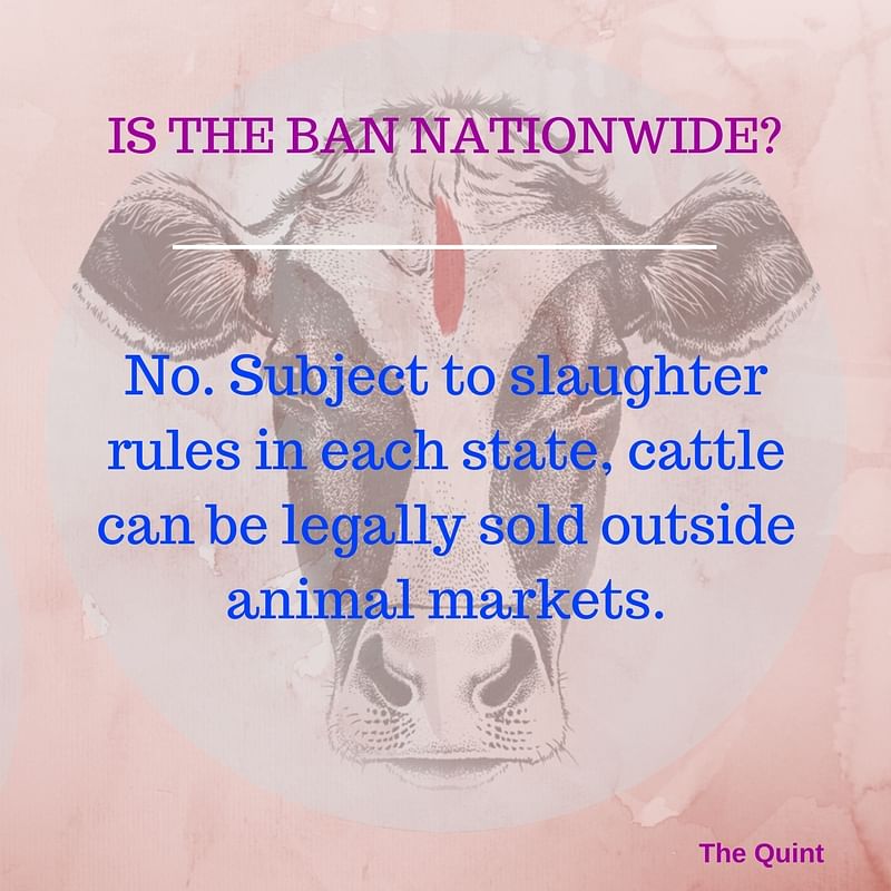 Confused by the new restrictions on sale of cattle across the country? Here are the answers to all your doubts.
