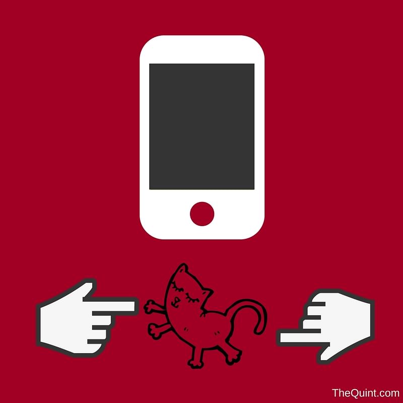 To glue oneself to a phone or not glue oneself to a phone, that is the question. And the answer is – don’t do it!