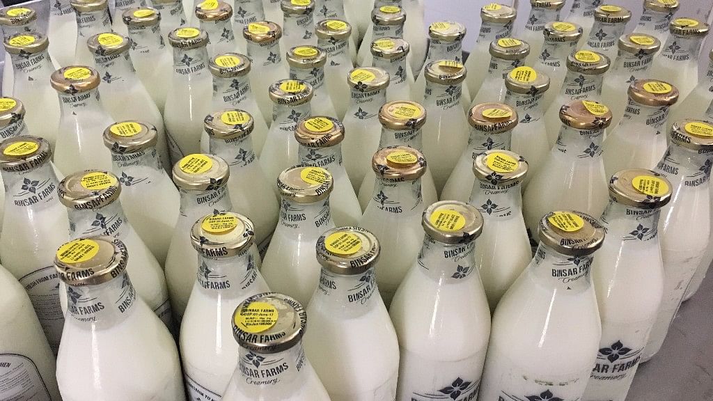 Farm fresh natural milk is healthy for consumption. (Photo: Shiv Kumar Maurya/<b>FIT</b>)