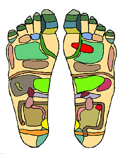 Reflexology & Cupping expert Deng Rong says: There are nerve endings in our feet that lead to our heart & spleen. 