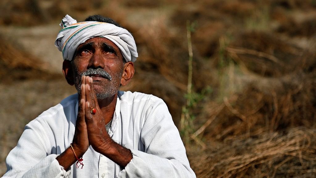 UP farmers are disheartened after a sandstorm ruined their prospects of bulk-exporting mangoes to Iran. (Photo: AP)