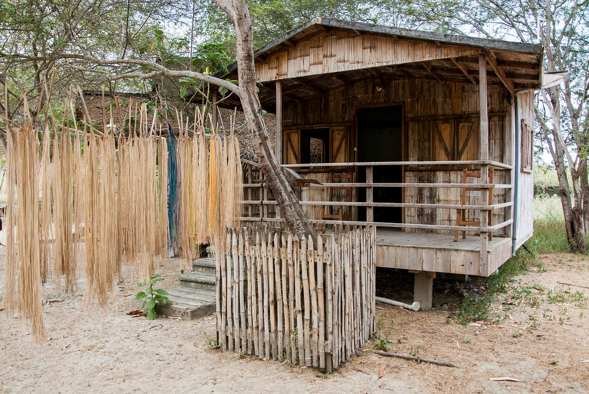 Meet this Hyderabad-based nature-loving couple, who make cost-effective bamboo houses, which generate employment.