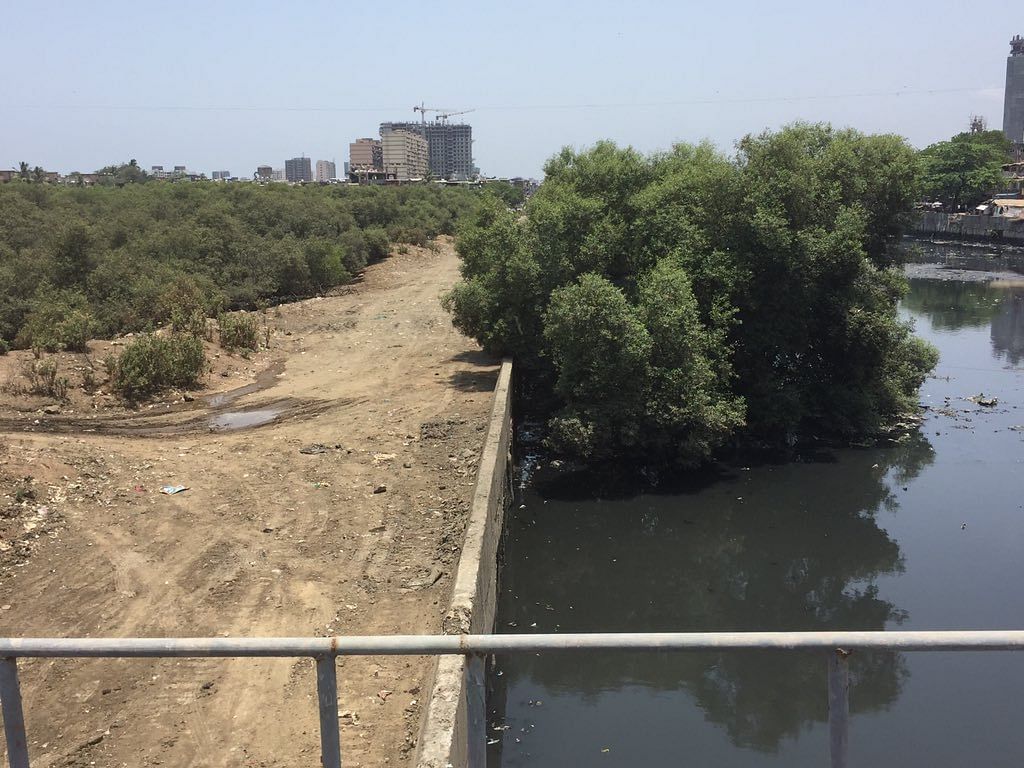 The Quint travelled along the Mithi river to check on its pollution levels, desilting works and general health.