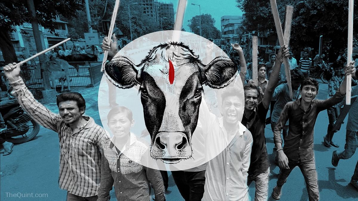 Poll: Student Thrashed for Organising Beef Fest, What’s Your Take?