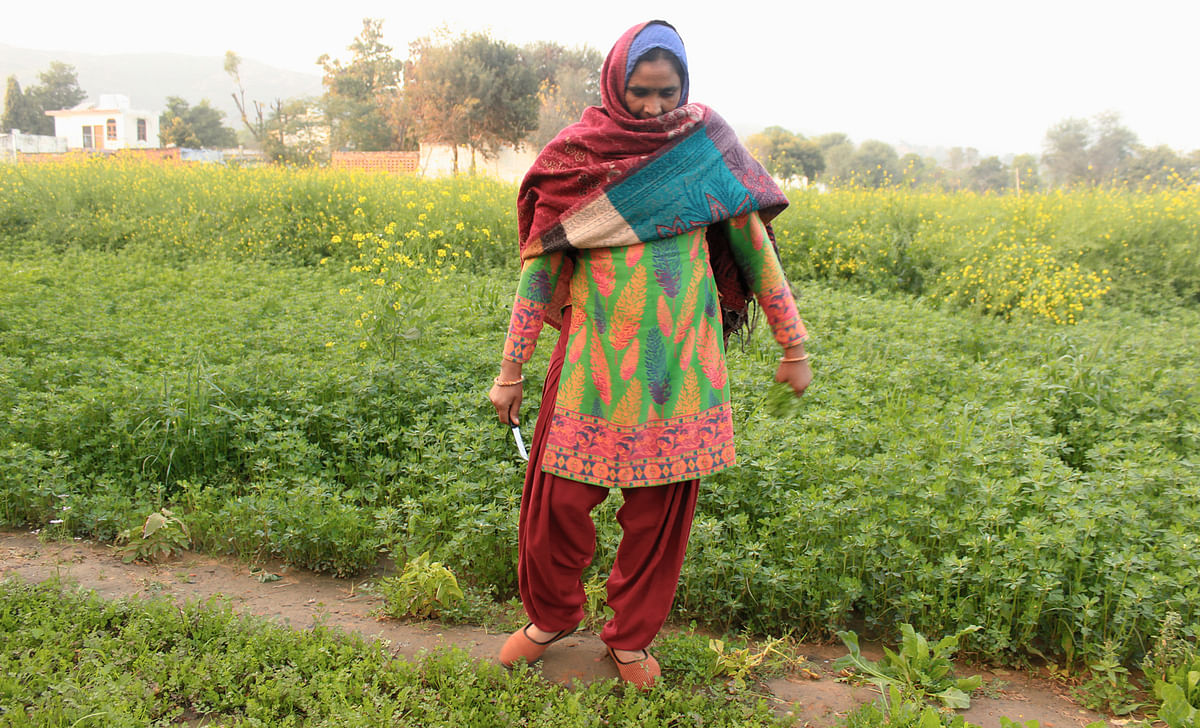 Photographer Kashish Badar documents a day in the life of Kavita Yadav, 40, a single female farmer in Haryana. 