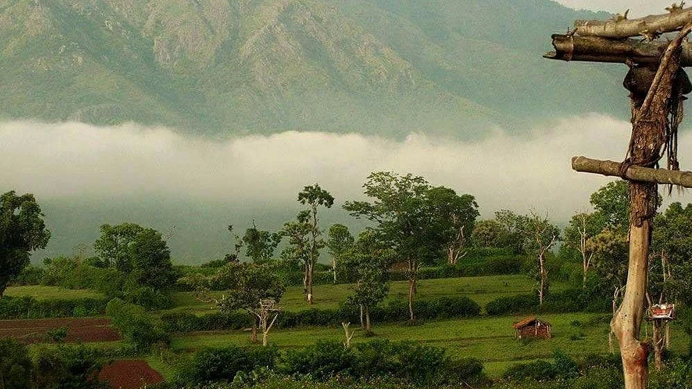 Weekend Getaways Near Bengaluru: Places to Visit On Long Weekend