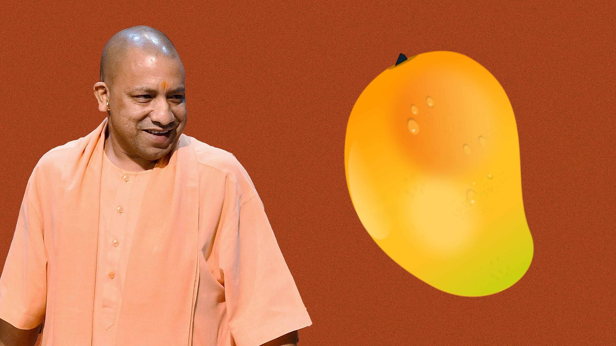 The “Yogi Aam” has been developed by Lucknow’s famous mango grower Padamshri Haji Kalimullah. (Photo Courtesy: Abhilash Mallick/<b>The Quint</b>)