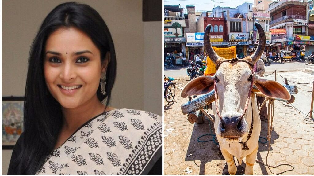 <div class="paragraphs"><p>Divya Spandan Ramya, Indian National Congress MP from Karnataka, tweeted a list of questions to the BJP regarding the beef ban. </p></div>